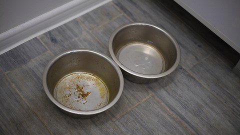 3-objects-that-you-always-forget-to-clean-and-are-dirtier-than-the-toilet
