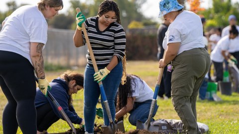the-california-provider-corps-seeks-10,000-volunteers-to-work-for-the-community