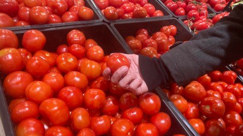 price-of-tomatoes-in-the-us-reached-the-highest-levels-in-eight-years,-according-to-bls-data
