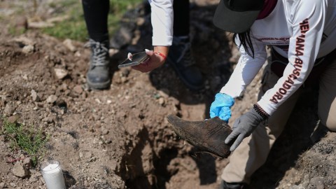 “we-have-a-positive!”:-these-are-the-findings-of-parents-searching-for-missing-people-in-mexico