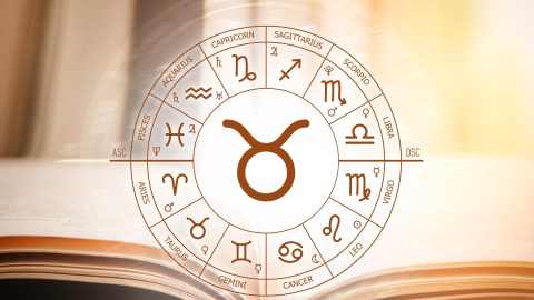 what-your-horoscope-says-for-the-2026-taurus-season
