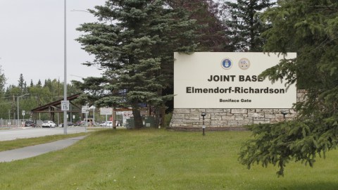 brown-bear-injures-soldiers-during-army-sinful-training-in-alaska