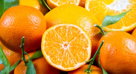 daily-consumption-of-orange-can-modify-the-lipid-profile-of-patients-with-fatty-liver