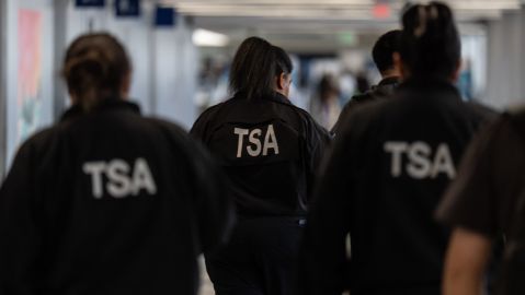 trump-profiles-david-cummins-to-lead-the-tsa-in-the-midst-of-the-crisis