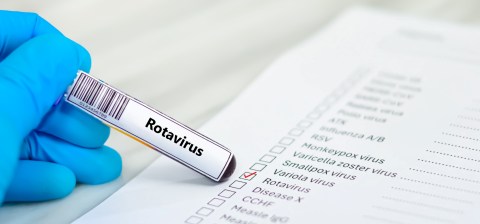 highly-contagious-digestive-virus-is-spreading-rapidly-throughout-the-united-states