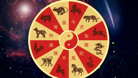 chinese-horoscope-for-may-2026:-how-prosperous-your-sign-will-be