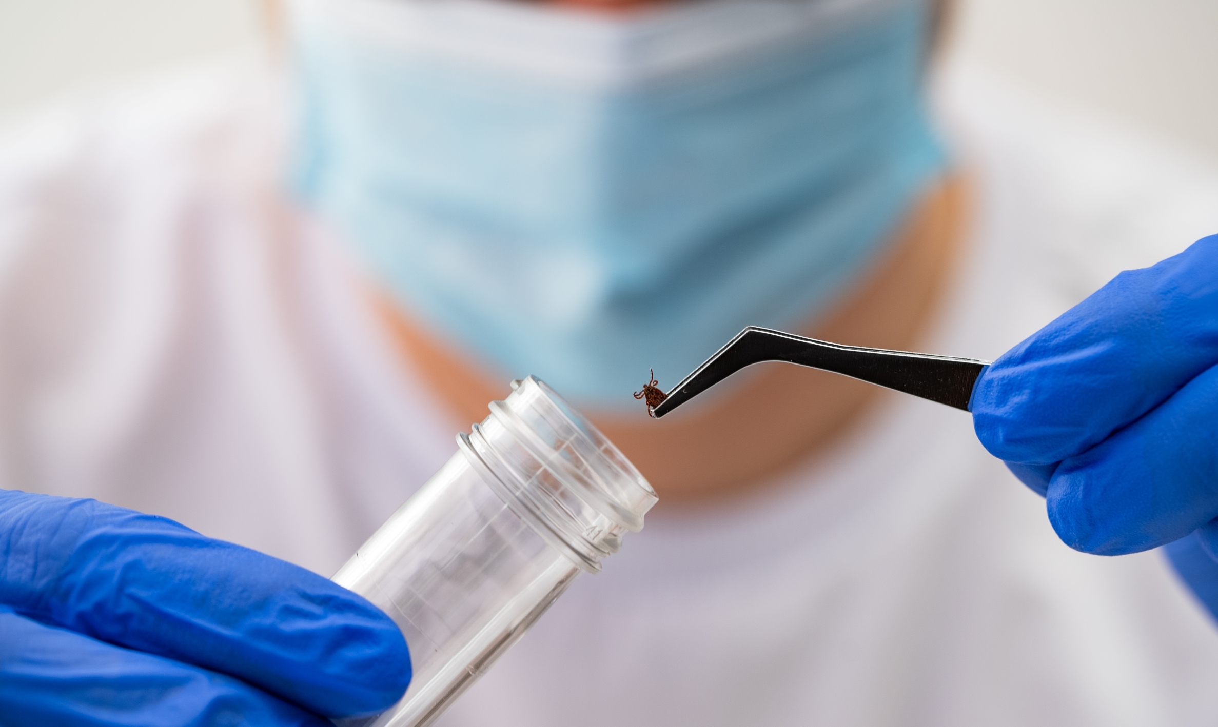 lyme-disease-vaccine-shows-more-than-70%-effectiveness