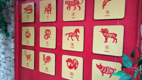 there-will-be-luck-for-3-signs-of-the-chinese-zodiac-from-may-25-to-31,-2026