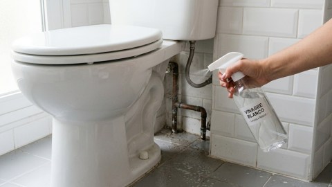what-is-the-use-of-spraying-vinegar-behind-the-toilet:-the-trick-you-won’t-be-able-to-let-go-of
