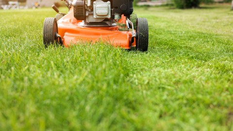 golf-course-worker-died-trapped-under-lawn-mower-in-illinois