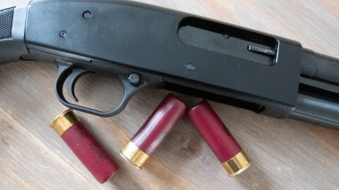 dog-accidentally-fired-a-shotgun-in-front-of-a-store-in-nebraska-and-injured-one-person