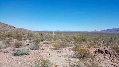 “migrant-trail-walk”-begins-to-honor-immigrants-who-died-in-the-desert-between-mexico-and-the-us