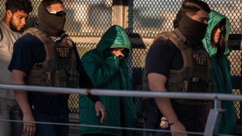 facts-of-the-week:-ice-faces-crisis-due-to-suicides-and-hunger-strikes