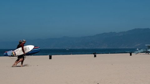 sighting-of-aggressive-white-shark-forces-closure-of-a-beach-in-orange