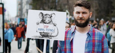 animal-testing-for-drug-development-is-reduced:-can-technology-fill-that-gap?