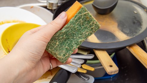 how-many-bacteria-does-a-dishwashing-sponge-accumulate?-you-will-never-use-it-again