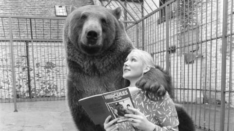 the-extraordinary-story-of-hercules,-the-bear-that-a-couple-adopted-and-raised-as-part-of-their-family