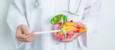 health-authorities-expand-access-to-a-promising-drug-against-pancreatic-cancer