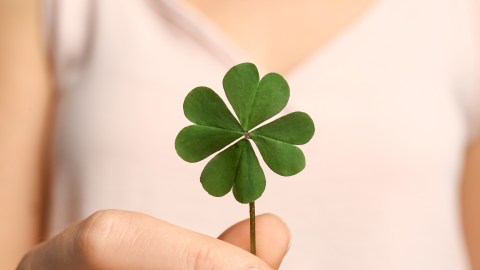 4-zodiac-signs-will-have-luckier-in-may-2026,-astrologer-predicts