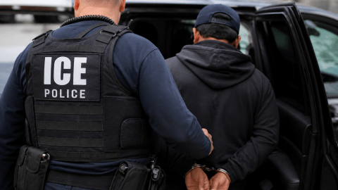 outrage-in-las-vegas:-immigrant-accused-of-torturing-dogs-arrested