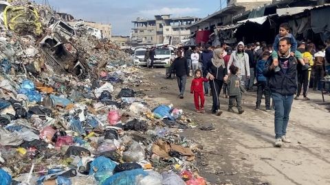 “the-rats-are-coming-out-of-the-tents”:-gaza-camps-invaded-by-disease-transmitting-rodents