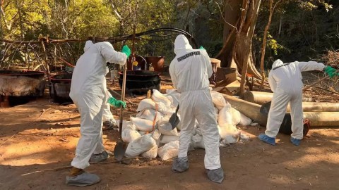 the-seized-drug-laboratory-where-2-cia-agents-allegedly-participated-had-50-tons-of-chemical-precursors