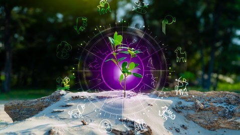 3-zodiac-signs-can-prosper-this-may-weekend