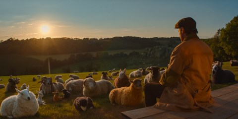 screens:-what-to-see-in-theaters-and-streaming-the-weekend-of-may-8-to-10