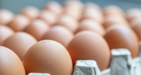 five-eggs-a-week-provide-the-protein-and-nutrients-you-need,-says-expert