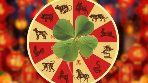 3-signs-of-the-chinese-zodiac-expect-the-best-week-from-may-11-to-17