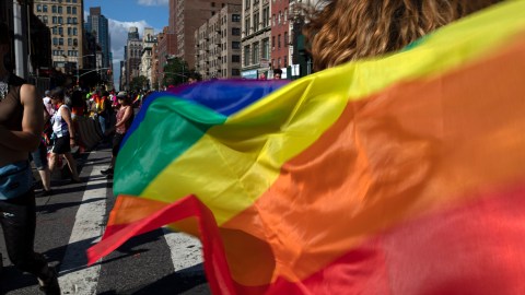 free-and-fearless:-why-lgbtq+-visibility-matters-now-more-than-ever