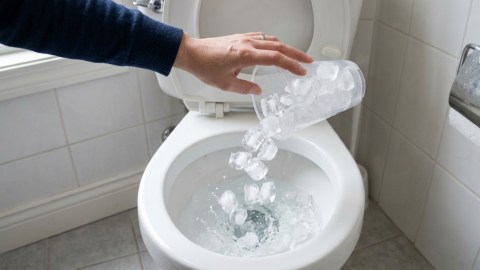 throwing-a-cup-of-ice-in-the-toilet:-what-is-it-for