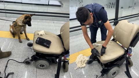 man-arrested-at-mexico-airport-for-transporting-cocaine-hidden-in-a-wheelchair