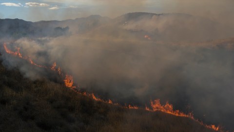 danger-of-vegetation-fires-in-southern-california-due-to-intense-winds