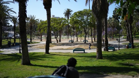 anti-drug-operation-in-macarthur-park,-in-los-angeles,-does-not-stop-the-addiction-crisis
