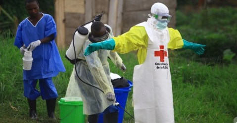 more-about-the-bundibugyo-virus,-the-ebola-species-that-is-causing-havoc:-a-strain-that-has-no-vaccines-or-treatment