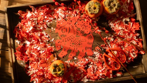 fortune-is-predicted-for-6-signs-of-the-chinese-zodiac-starting-may-21