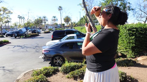 ‘exhaustion-is-staunch,’-say-ice-surveillance-volunteers-in-southern-california