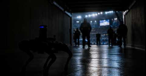 mexico-kicks-the-board:-robotic-dogs-will-monitor-the-2026-world-cup-and-are-already-generating-controversy