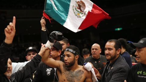 pantera-nery-was-beaten,-knocked-out-in-four-rounds