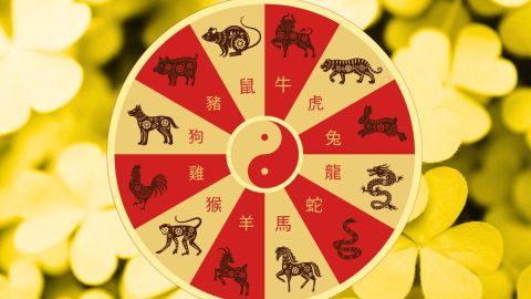 a-week-of-luck-awaits-3-signs-of-the-chinese-zodiac-from-june-8-to-14