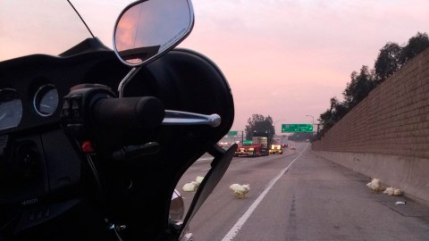 10-year-old-boy-and-his-father-die-in-accident-with-fire-truck-in-riverside
