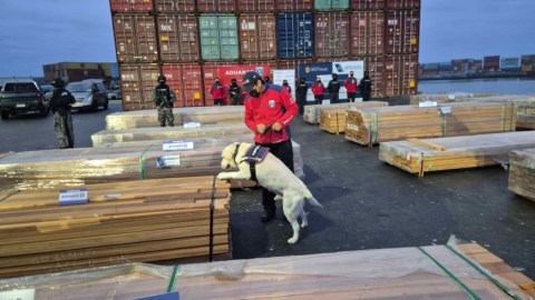 chile-achieved-the-largest-drug-seizure-in-its-history-valued-at-8,334-million-dollars
