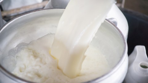 they-investigate-an-increase-in-diseases-related-to-the-consumption-of-raw-milk