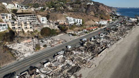 mayor-bass’s-brother-sues-the-city-of-los-angeles-over-palisades-fire