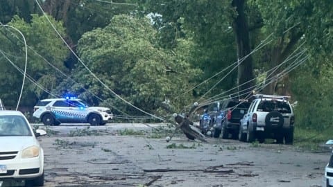 giant-tree-crushes-van-with-six-children-in-chicago-during-violent-storms