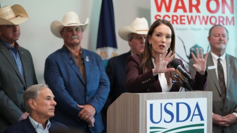 the-us-rules-out-that-cuts-to-usaid-would-cause-the-spread-of-the-screwworm