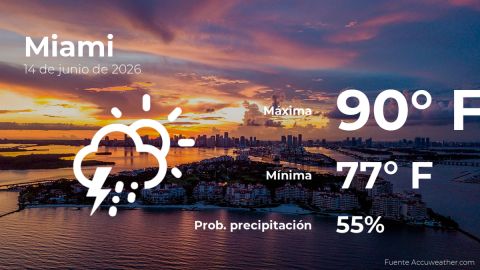 weather-forecast-in-miami-for-this-sunday,-june-14
