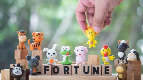 3-signs-of-the-chinese-zodiac-will-be-the-most-prosperous-from-june-15-to-21