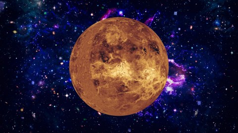 venus-has-begun-your-transit-through-leo:-what-will-happen-to-your-sign